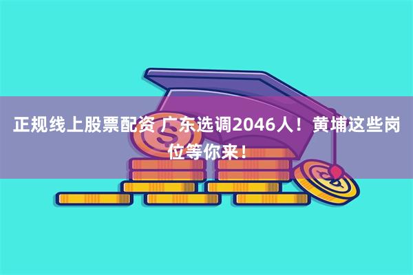 正规线上股票配资 广东选调2046人！黄埔这些岗位等你来！