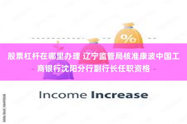股票杠杆在哪里办理 辽宁监管局核准康波中国工商银行沈阳分行副行长任职资格