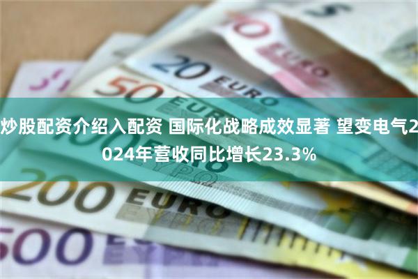 炒股配资介绍入配资 国际化战略成效显著 望变电气2024年营收同比增长23.3%