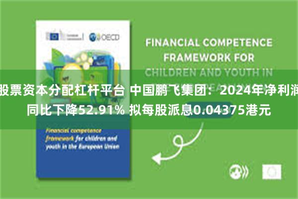 股票资本分配杠杆平台 中国鹏飞集团：2024年净利润同比下降52.91% 拟每股派息0.04375港元