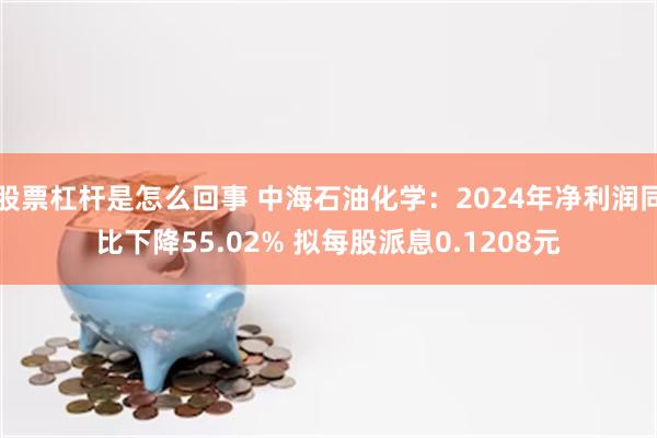 股票杠杆是怎么回事 中海石油化学：2024年净利润同比下降55.02% 拟每股派息0.1208元