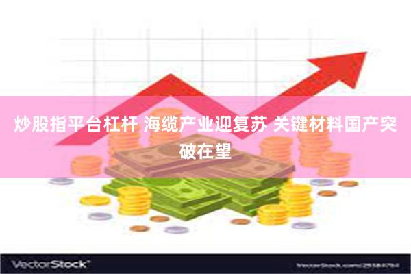 炒股指平台杠杆 海缆产业迎复苏 关键材料国产突破在望
