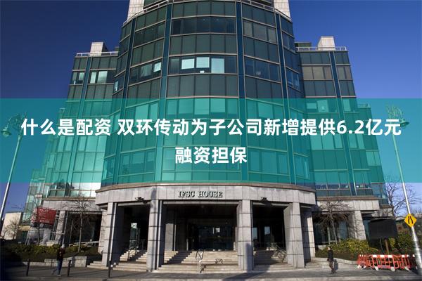 什么是配资 双环传动为子公司新增提供6.2亿元融资担保