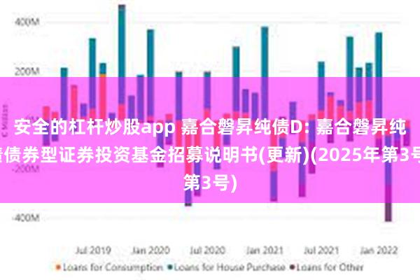 安全的杠杆炒股app 嘉合磐昇纯债D: 嘉合磐昇纯债债券型证券投资基金招募说明书(更新)(2025年第3号)