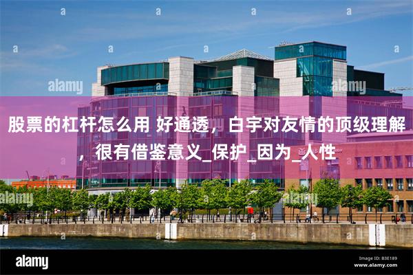 股票的杠杆怎么用 好通透，白宇对友情的顶级理解，很有借鉴意义_保护_因为_人性