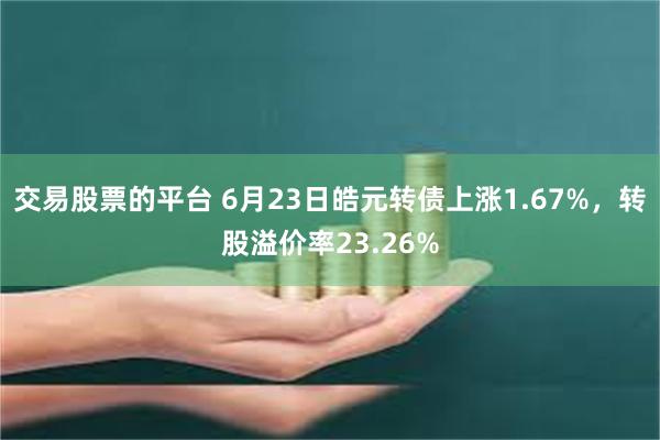 交易股票的平台 6月23日皓元转债上涨1.67%，转股溢价率23.26%