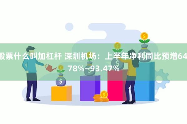 股票什么叫加杠杆 深圳机场：上半年净利同比预增64.78%—93.47%