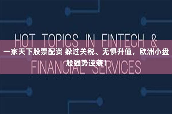 一家天下股票配资 躲过关税、无惧升值，欧洲小盘股强势逆袭！
