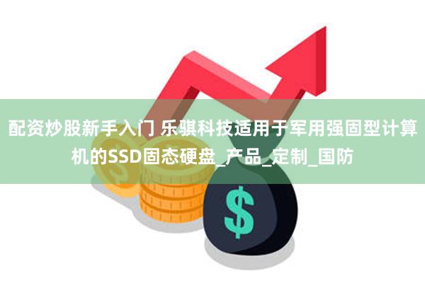 配资炒股新手入门 乐骐科技适用于军用强固型计算机的SSD固态硬盘_产品_定制_国防