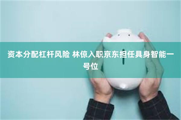 资本分配杠杆风险 林倞入职京东担任具身智能一号位