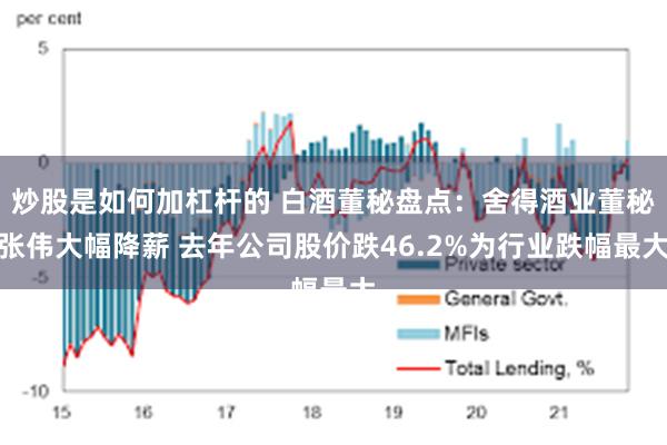 炒股是如何加杠杆的 白酒董秘盘点：舍得酒业董秘张伟大幅降薪 去年公司股价跌46.2%为行业跌幅最大